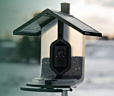 How to Keep Pests Out of Your Birdfeeder