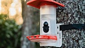 5 Reasons Why a Smart Hummingbird Feeder Makes the Perfect Mother’s Day Gift