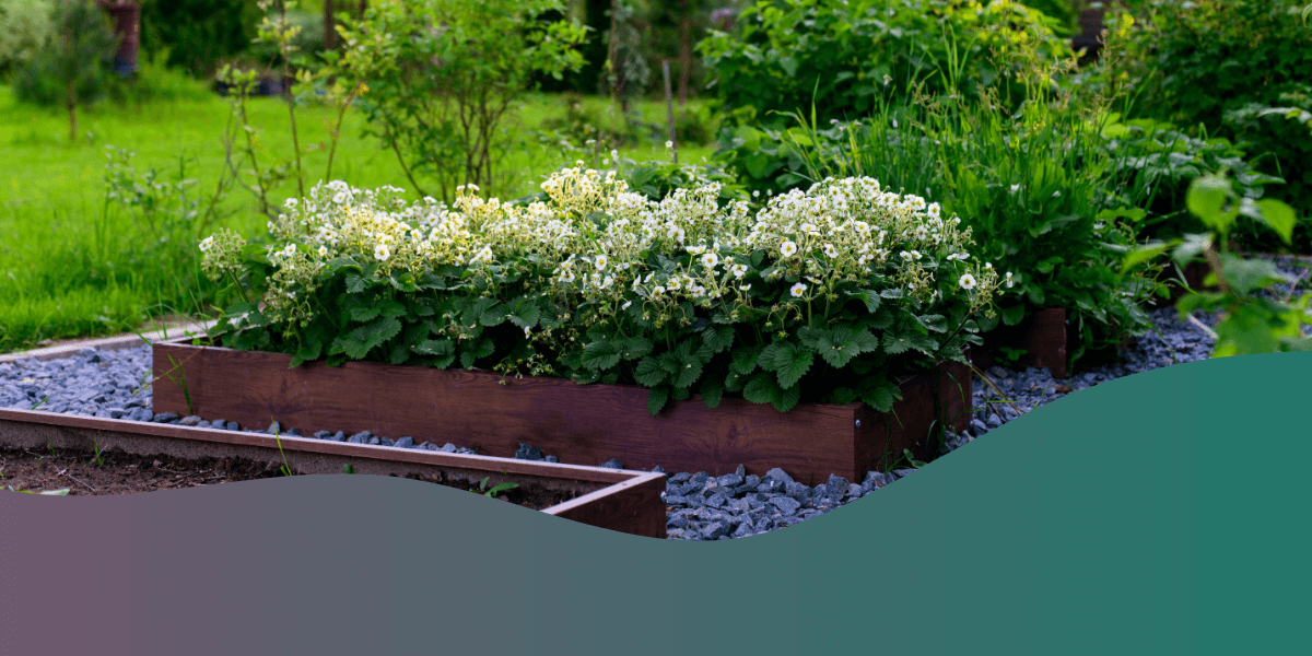 Bird Friendly Landscaping