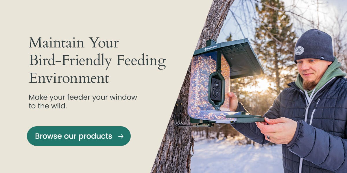 Maintain your bird-friendly feeding environment with the FeatherSnap Bird Feeder