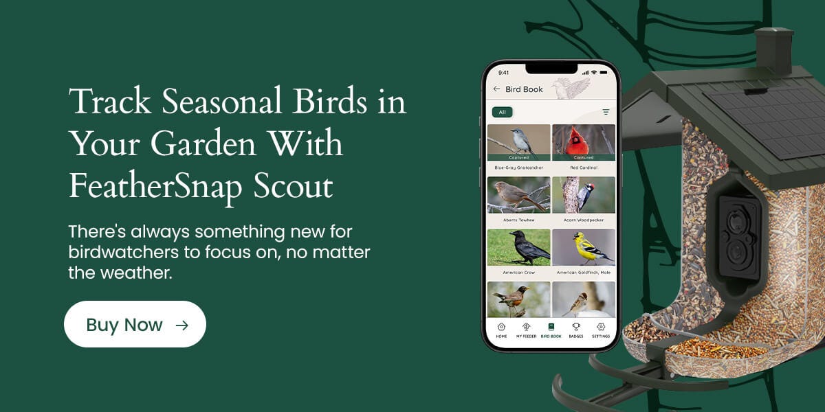 Track seasonal birds in your garden with FeatherSnap Scout