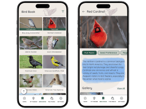 FeatherSnap bird visitor Life Book