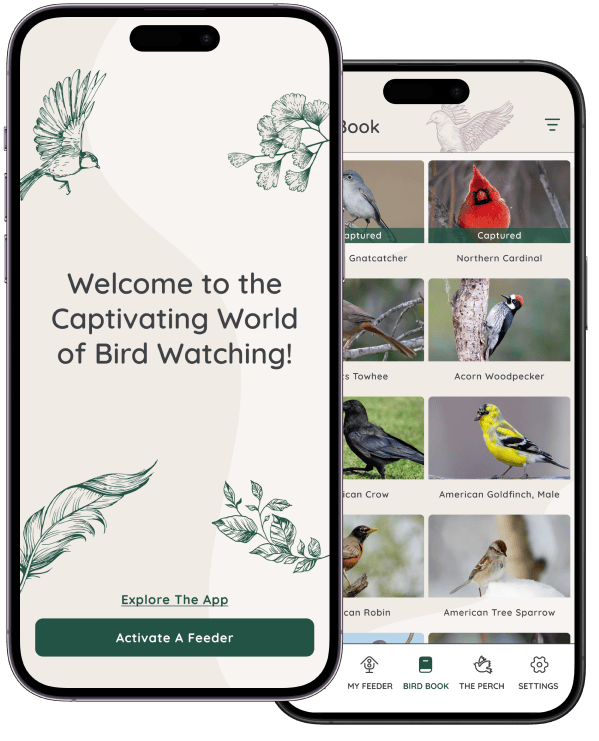 Welcome to your FeatherSnap App