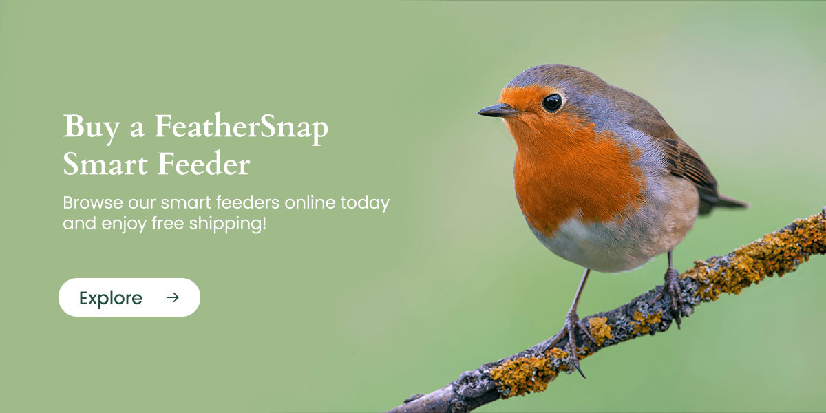 Browse our FeatherSnap smart feeders online and enjoy free shipping