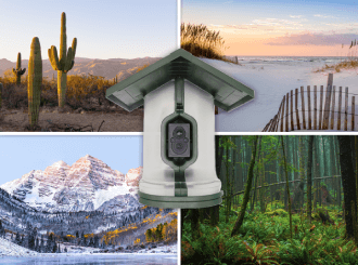 The FeatherSnap bird feeder is durable in all conditions