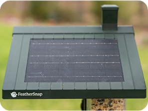 FeatherSnap Scout – Wi-Fi Solar Powered Smart Bird Feeder