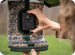 View birds in HD quality, day or night
